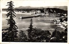 CPA Nice Vue panoramique depuis le Mont Boron 