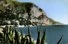 CPA Beaulieu sur Mer la Petite Afrique Au fond le Cap d'Ail 