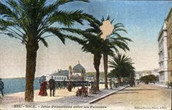 CPA Nice Jetee Promenade entre les Palmiers 