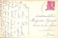 CPA Nancy Un coin de la Pepiniere La Roseraie 