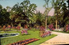 CPA Nancy Un coin de la Roseraie 