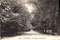 CPA Luneville Une Allee des Bosquets 