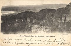 CPA Cote d'Azur St Cyr Les Lecques Pins Parasols 
