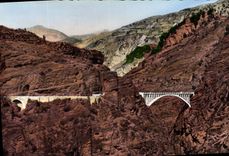 CPA Les Gorges de Daluis AM Le Pont de la Mariee 