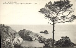 CPA L'Esterel Corniche d'Or vue au bord de Mer au Cap Roux 