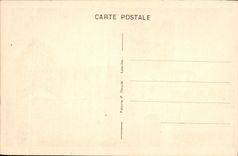 CPA Saint Sauveur Le Pont Napoleon 