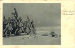 CPA Vosges