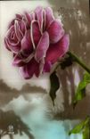 CPA Bonne Fete Fleurs