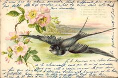 CPA Fleurs Oiseau