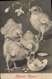 CPA Joyeuses Paques Poussins