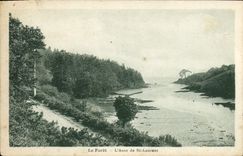 CPA La Foret L'Anse de St Laurent 