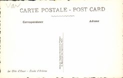 CPA La Cote d'Azur Etude d'Arbres 