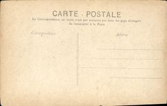 CPA Paysage Sous bois 