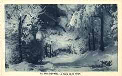 CPA Au Mont Revard La feerie de la neige 