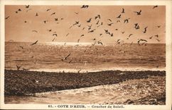 CPA Cote d'Azur Coucher de Soleil 