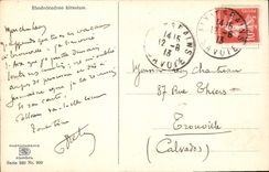 CPA Rhododendron hirsutum Fleurs