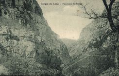 CPA Gorges du Loup Panorama des Gorges 