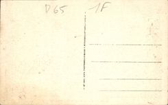 CPA Tarbes le Jardin Massey et les Pyrenees