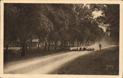 CPA Les Landes de Cascogne sur les Routes Poudreuses Berger Moutons