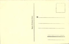 CPA Vichy le Bassin des Cygnes 