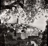CPA Saint Paul Alpes Maritimes vue prise entre les Oliviers 