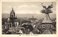 CPA Colmar Nid de Cigognes 
