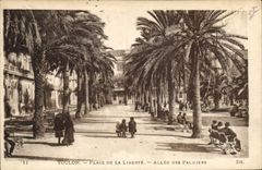 CPA Toulon Place de la Liberte Allee des Palmiers 