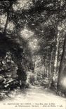 CPA Bagnoles de l'Orne Sous Bois dans le Parc de l'Etablissement Thermal Allee du Dante 