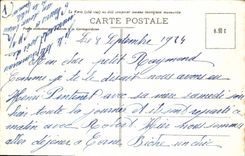 CPA Palais de Fontainebleau Etang des Carpes et Musee Chinois 