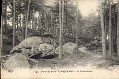 CPA Foret de Fontainebleau le Petite Suisse 