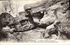 CPA Foret de Fontainebleau la roche qui Pleure Franchard 