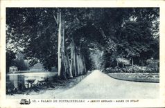 CPA Palais de Fontainebleau Jardin Anglais Allee de Sully 