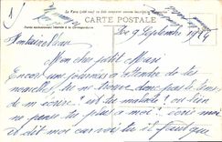 CPA Palais de Fontainebleau Facade sur la Cour des Adieux Autre vue 