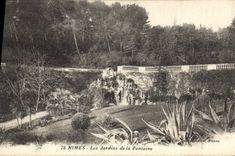 CPA Nimes Les Jardins de la Fontaine 