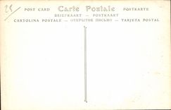 CPA Cathedrale de Chartres L'Ane qui veille detail 