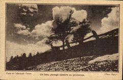 CPA Un beau paysage alpestre au printemps 