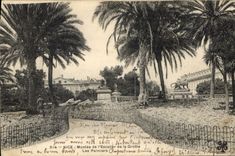 CPA Nice Montee de l'Escalier de la Grotte Les palmiers