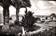 CPA Cannes AM Le jardin du Casino 