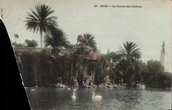CPA Nice La Grotte des Jardins 