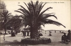 CPA Cannes Les Palmiers de la Place du Casino 