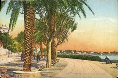 CPA Cannes Promenade de la Croisette