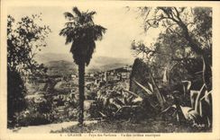 CPA Grasse Pays des Parfums Vu des jardins exotiques 