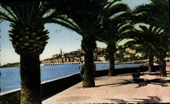 CPA Menton AM vu de Garavan 