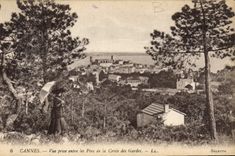 CPA Cannes Vue prise entre les pins de la Croix des Gardes 