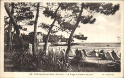 CPA St Palais sur Mer Ch Inf La Plage a travers les pins 