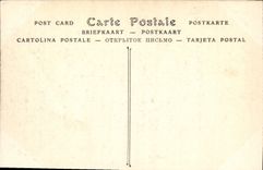 CPA Versailles Vue a vol d'oiseau sur le Parc le Palais et la ville 