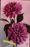 CPA Bonne Fete Fleurs