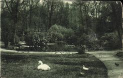 CPA Cognac Jardin de l'Hotel de Ville le Lac 