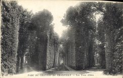 CPA Parc du Chateau de Chantilly Les Trois Allees 