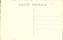 CPA Lourdes la Basilique Vue prise du Chateau Fort 